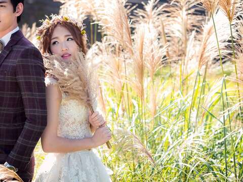 陽明山の人気結婚写真スポットを大公開