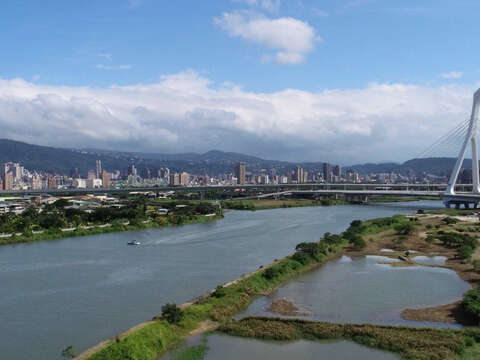 社子島北側，鄰近社子大橋旁新舊堤防間水利處營造出面積約8.3公頃濕地