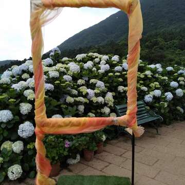 花與樹園藝