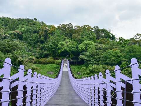 橫越大崙頭山及忠勇山谷間的白石湖吊橋