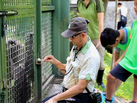 究竟要如何請黑猩猩乖乖張開嘴巴檢查牙齒？請待保育員揭曉答案