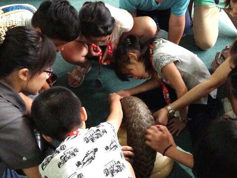 夏天正是各類甲蟲及許多動物朋友們最活躍的季節，動物園邀請你來拜訪動物，由研究人員、保育員及獸醫師陪你一起體驗