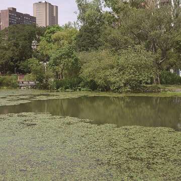 夏天來台北瘋水 編織親子的歡樂回憶