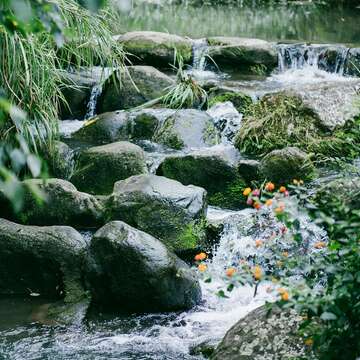 溪水潺潺,不知流往何處。