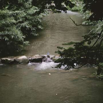 小坑溪雖然不長，但豐富的生態，值得細細發掘。