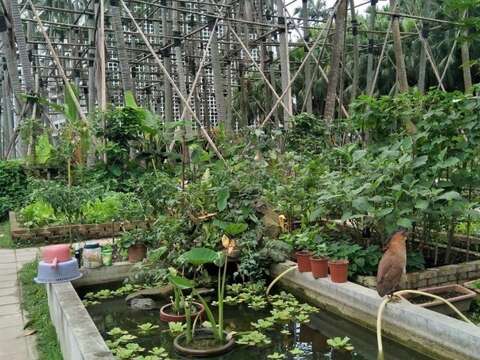 北市產業局食農小旅行「田園臺北採集計畫」第三彈 你未曾遇見的信義