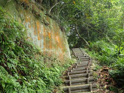 劍潭山復興電台登山口上山可見「毋忘在莒」巨岩和岩石頂上的大樹景觀