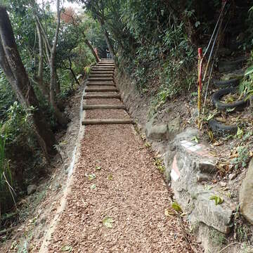 手作步道鋪上打碎的木屑，十分自然美觀