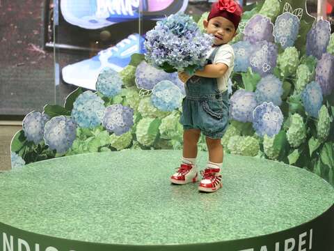 菲律賓小朋友在繡球花體驗區前拍照,模樣可愛