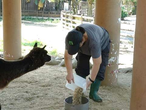 動物園逾百年來首次_今起「不對外開放」10日