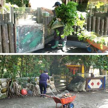 動物園逾百年來首次_今起「不對外開放」10日