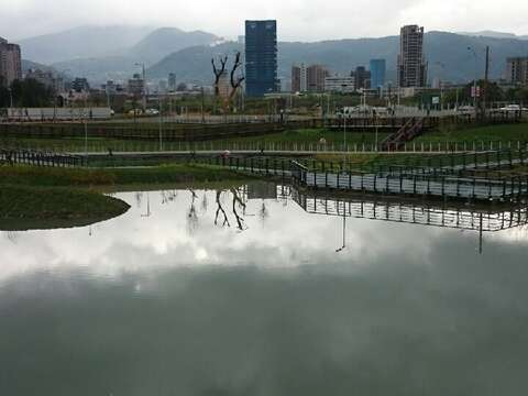 洲美蜆仔港公園濕地棧道及親水平台