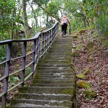 大溝溪生態治水園區登山步道