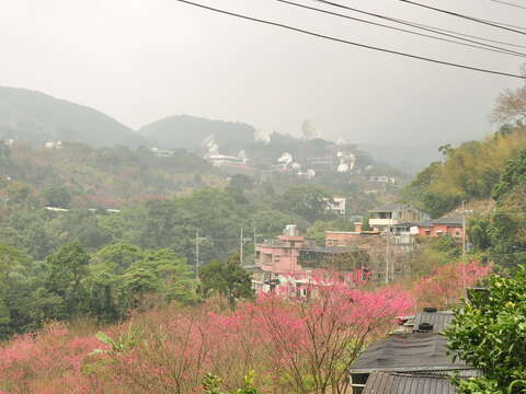 平等里