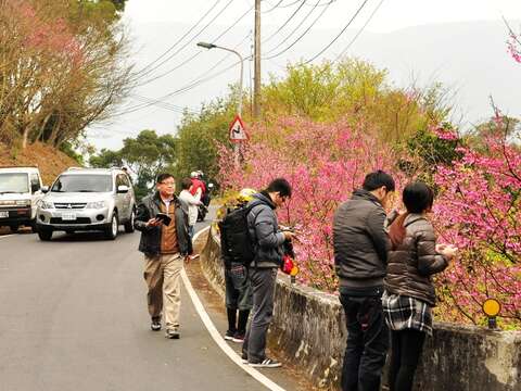 平溪產業道路沿線