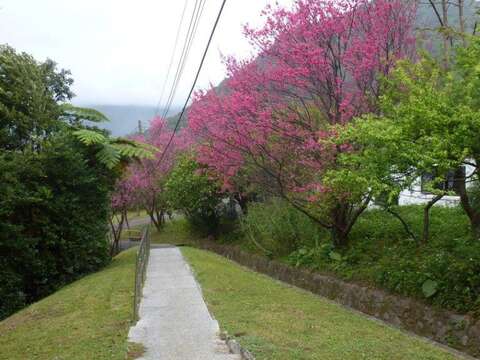 水管路步道