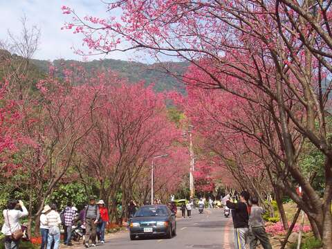 上清宮步道入口