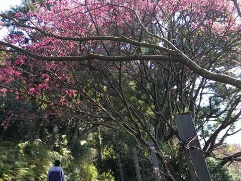 永春寮步道