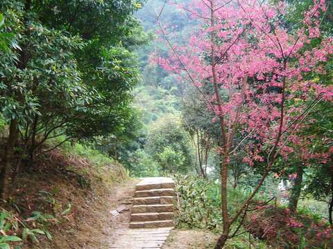 虎山生態步道
