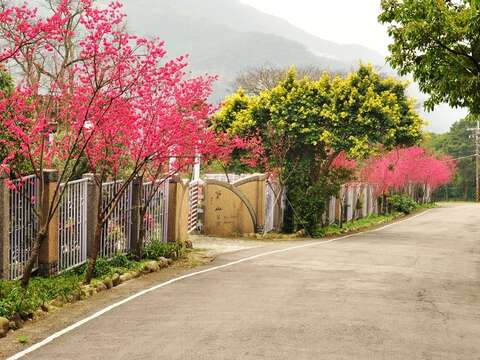 碧溪產業道路沿線
