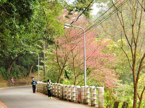 碧湖產業道路沿線