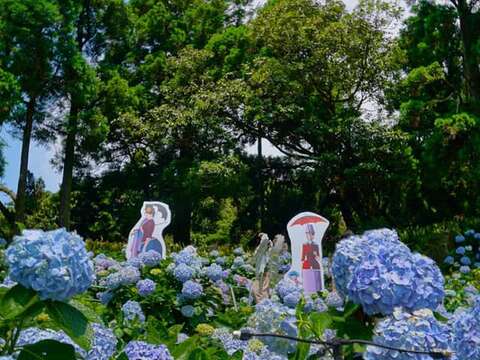 2019 Zhuzihu Hydrangea Festival – “Feast of Love – Picnic Concert”