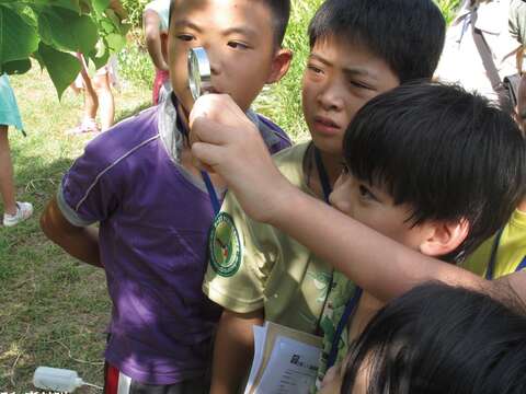 「濕地探險家」夏令營將帶小朋友進行生物觀察，認識動植物、鳥類等