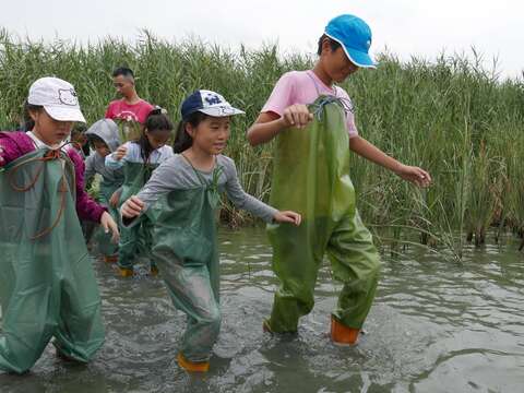「濕地探險家」夏令營，深入濕地，穿上青蛙裝完成沼澤冒險