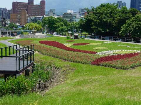 夏季限定 北投關渡碼頭花海活力綻放