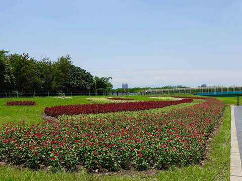 夏季草花拼湊組合成一道道海浪曲線花帶