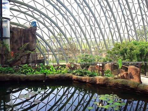 一進入「穿山甲館」就可感覺到整體空間開闊、植栽錯落有致的氛圍（紫晶數位有限公司攝）