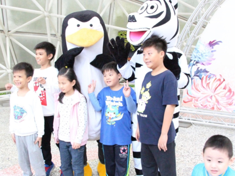 Shilin Residence Chrysanthemum Show 2019