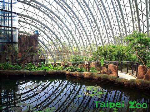 台北市立動物園の新ランドマーク！ゴールドメダル級グリーン建築「穿山甲館」！