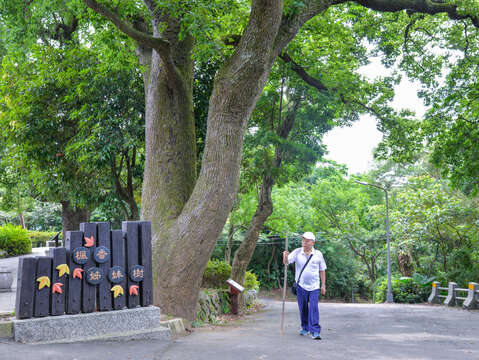 楓香姊妹樹平台