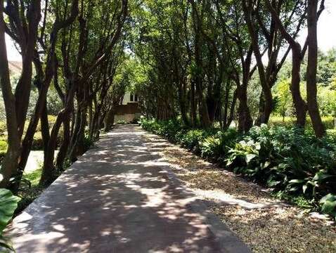 占地4公頃的園區內花木扶疏，搭配各種時節更替的草本花卉與一區區別出心裁的小主題