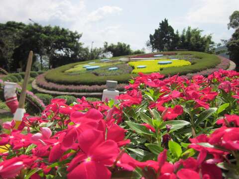日日春花橋與花鐘