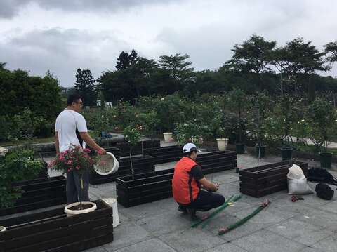 苗圃同仁布置定位中