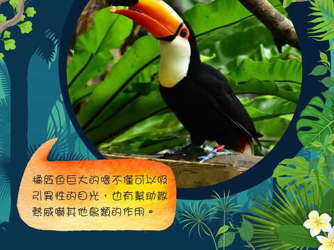 活動自11月9日起至12月8日止，只要帶著智慧型手機就可以參加，每日限量600個名額優先體驗，您可千萬不要錯過喔！