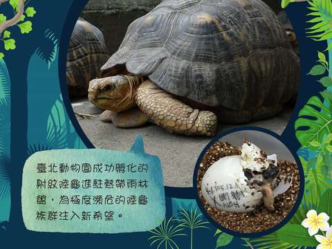 11幅精彩的動物寫真大放送，讓您珍藏或分享好友皆相宜