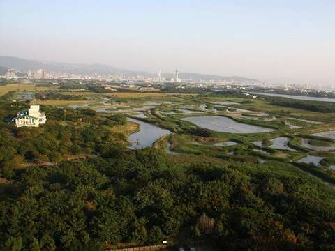 園慶當日可至自然中心二樓透過高倍望遠鏡欣賞濕地風貌與精彩的鳥況。