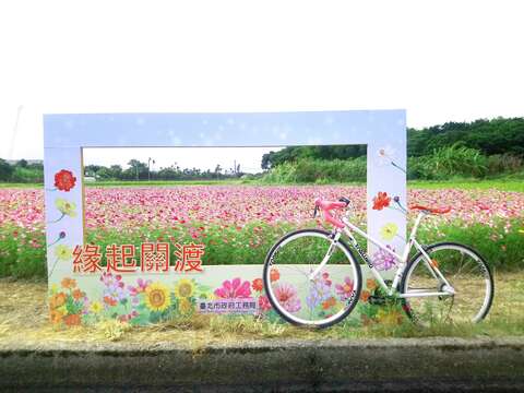 2020年11月初，讓我們再次緣起關渡，珍重再見!