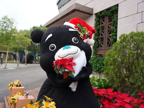 公館聖誕季古蹟探秘 週週送聖誕紅