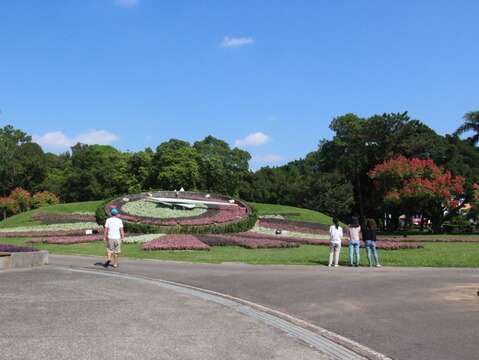 天使花為青年公園帶來天使般的純真、美好記憶