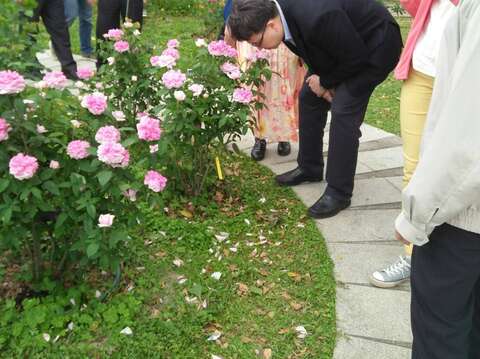 2020 Spring Rose Exhibition at Xinsheng Park