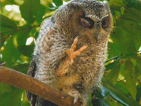 22nd Taipei International Birdwatching Fair