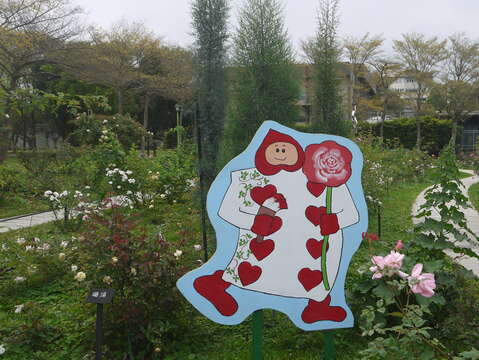 2020 Autumn Rose Exhibition at Xinsheng Park