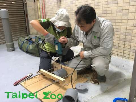 保育員DIY動物們的行為豐富化玩具（劉晉廷攝）