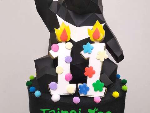 亞洲黑熊「黑糖」即將歡慶11歲生日
