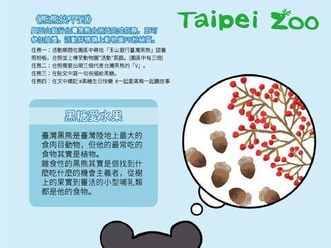 亞洲黑熊「黑糖」愛吃水果