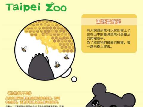亞洲黑熊「黑糖」愛吃蜂蜜
